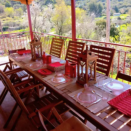 Alma-maroon Klara & Rachel *