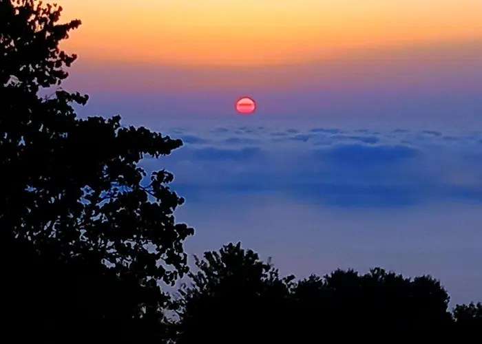 펜션 Alma-maroon Klara & Rachel *