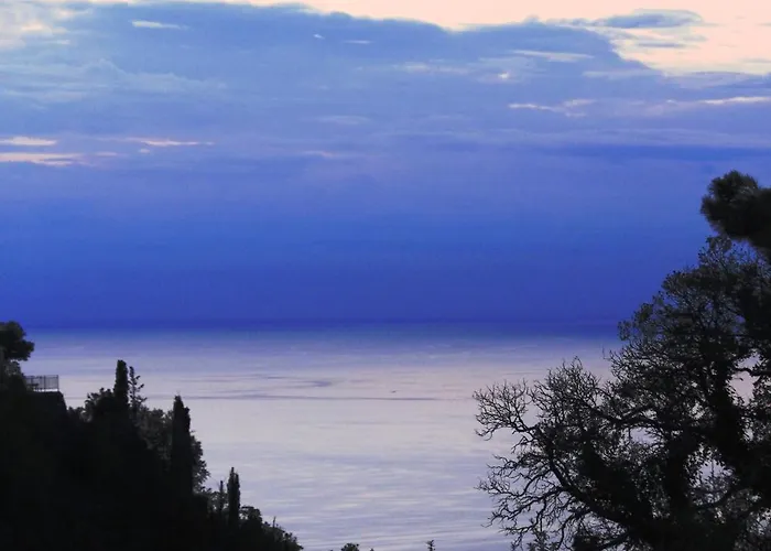 Alma-maroon Klara & Rachel * Drymon