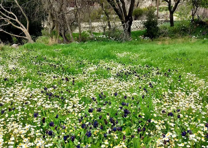 Alma-maroon Klara & Rachel Drymon