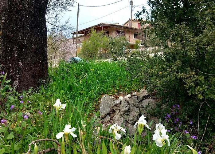 Alma-maroon Klara & Rachel * Drymon